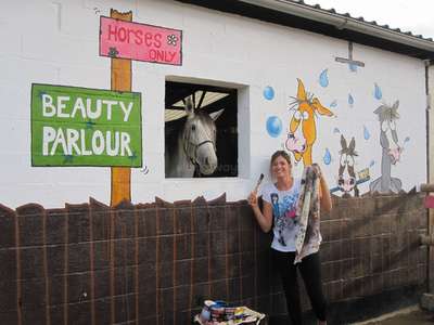 horse stable animal care volunteer 