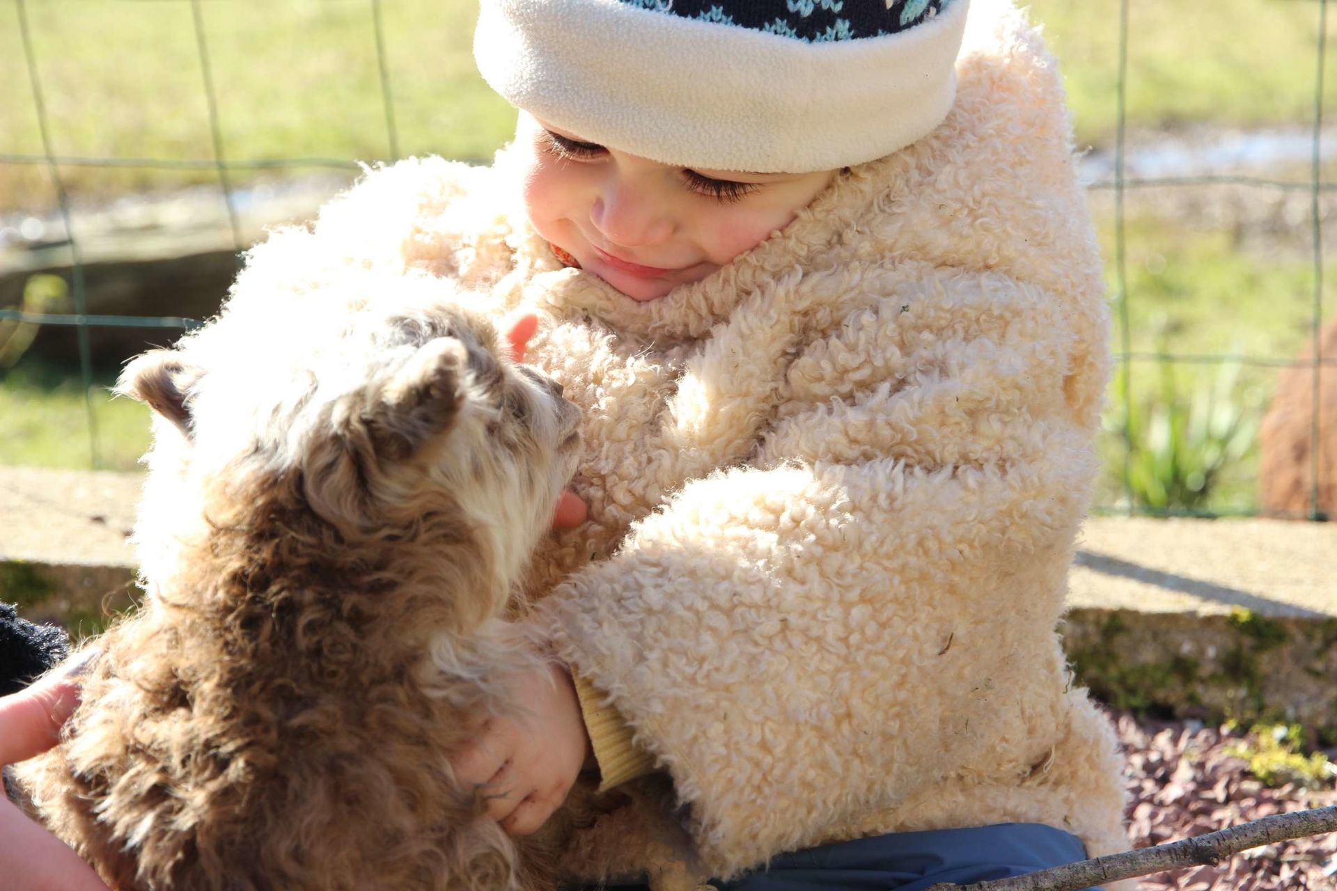 close up of young toddler smiling and cuddling a sheep