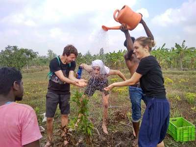 planting tree workaway group