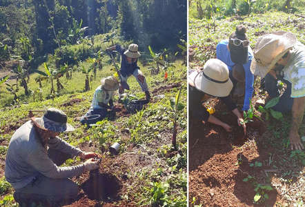 puerto-rico-ogffgrid-workaway workaway puerto rico gardening outdoor slow travel project