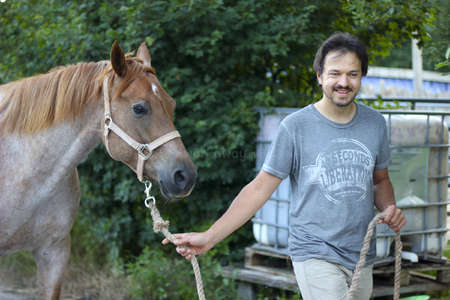 volunteer walking horse workaway travel