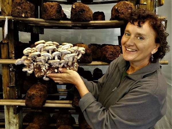 workaway gisela holding shiitake mushrooms