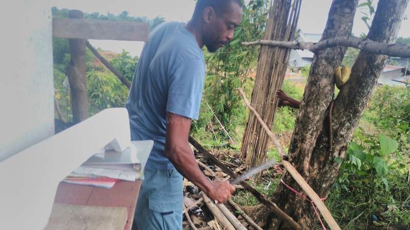 Kenneth outdoor workaway volunteering outdoor sawing wood