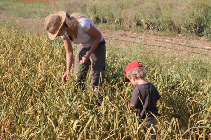 catalonia farming workaway experience with family mum and son