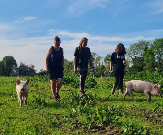 workaway group enjoying walk with sanctuary pigs