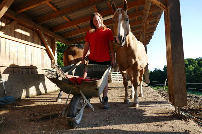 workaway walking through ranch with wheelbarrow and horse