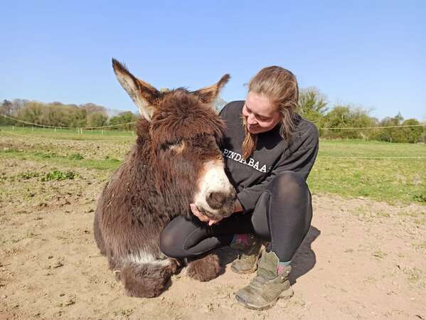 happy donkey leaning on ellie