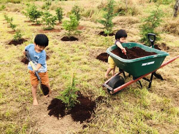 gardening experience for young kids while travelling