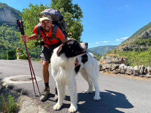 workaway hike with dog pet