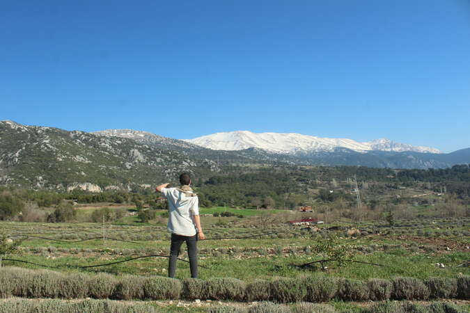 Workawayer working in the fields on a sunny day at a lavender farm in Turkey