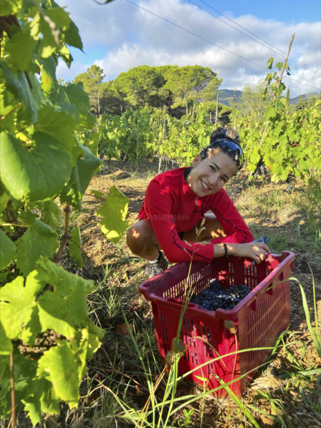 solo female volunteering vineyard italy