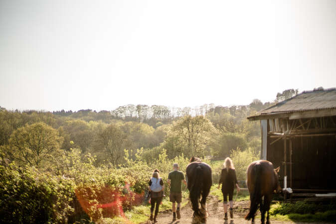 travel workaway group with horse walking into distant forest