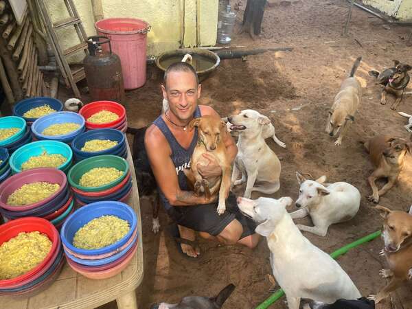 man feeding and posing next to shelter dogs workaway project