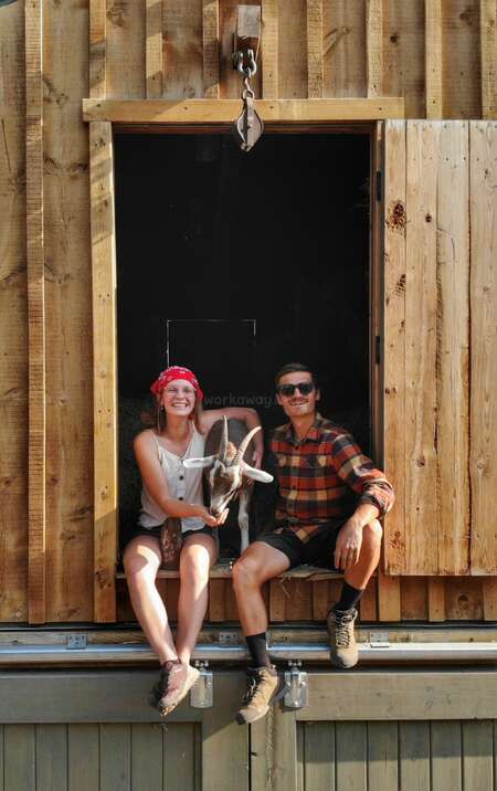 couple posing with goat outside a house