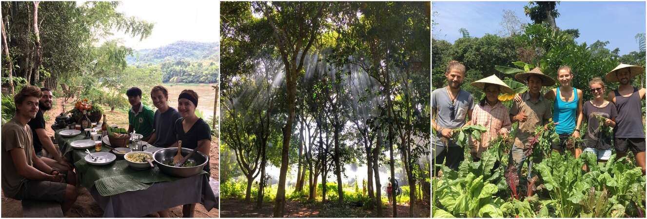 collage of Laos acgro-ecotourism experience with travelling workawayers farming and enjoying outdoor meal in the jungle