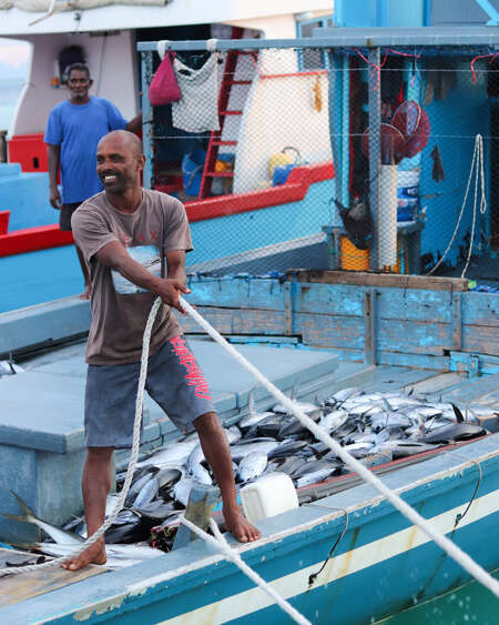 fisherman on a sailing boat capturing sea food