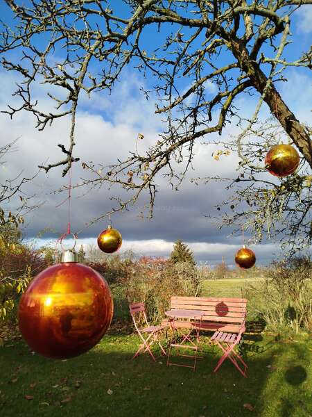 cologne-germany-quiet-christmas-ideas-europe