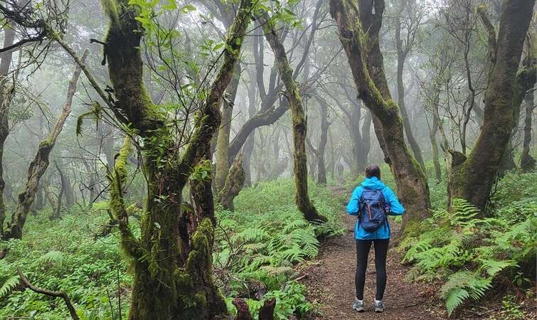 Angelina, the article's author, on the hiking trail in Garajonay National Park, La Gomera.
