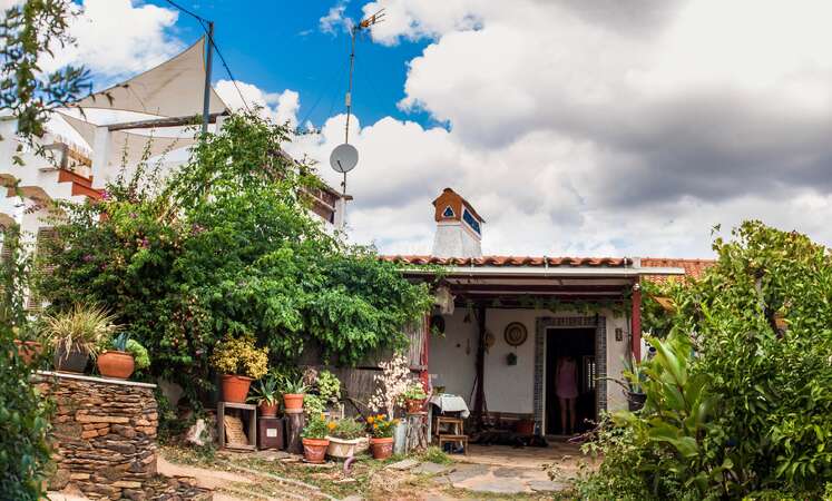 best-places-spain-house-sitting-casa-martin-en-pan-de-trigo-workaway Traditional rural house in Spain with a lush garden, ideal for a house sitting stay