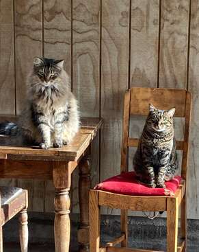 Profile photo of Rajah and Mia