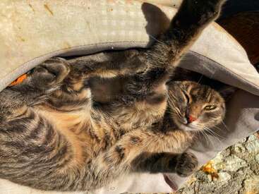 Profile photo of Principessa