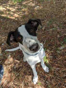 Profile photo of Kokoro