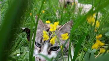 Profile photo of Maüi