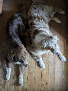 Profile photo of Nava+Nya