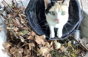 Profile photo of Beebie