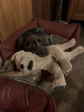 Profile photo of Max