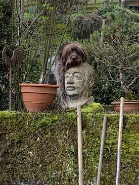 Profile photo of Robin