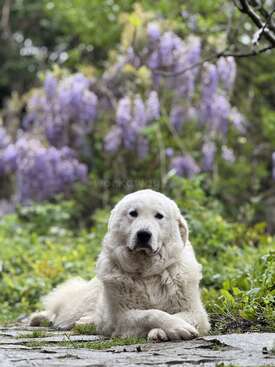 Profile photo of Bianca