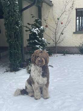 Profile photo of Rupert