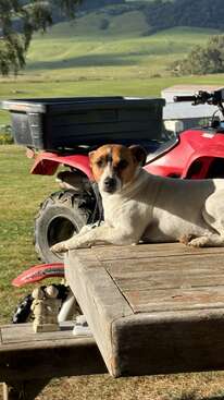 Profile photo of Tom