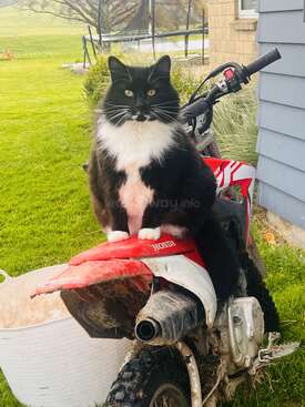 Profile photo of Judy