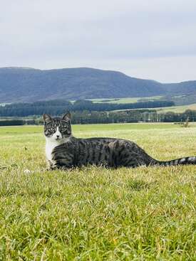 Profile photo of Missy