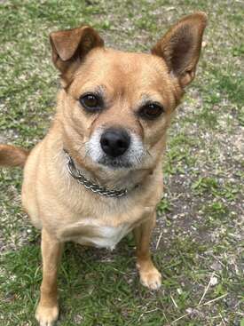 Profile photo of Timbit