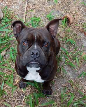 Profile photo of loki