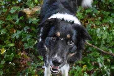 Profile photo of Achill