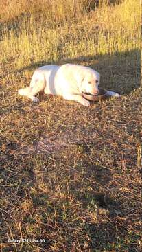 Profile photo of Ariel