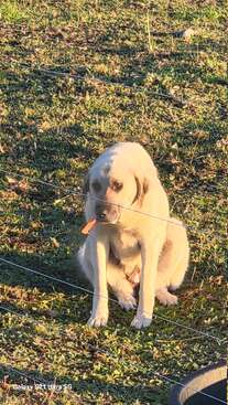 Profile photo of Athena