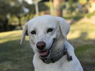 Profile photo of Bella