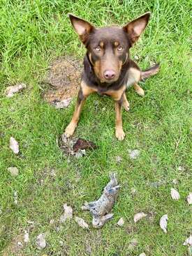 Profile photo of Lilly