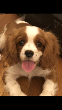 Profile photo of Russel