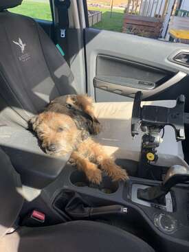 Profile photo of George