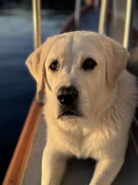 Profile photo of Leo