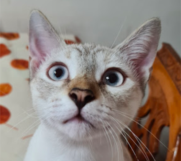 Profile photo of Wanda