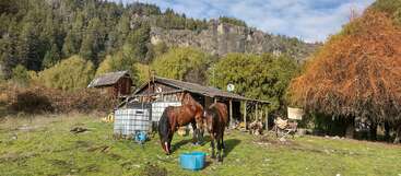 Profile photo of trancos