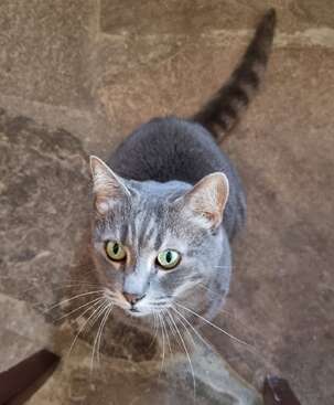 Profile photo of Remedios