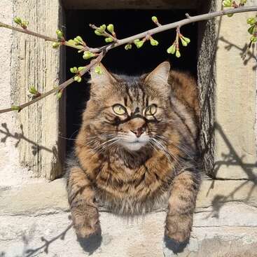 Profile photo of Camilo